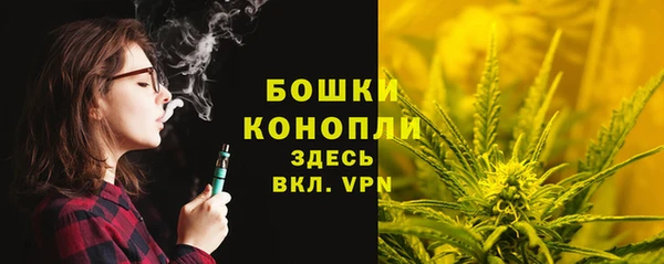 ПСИЛОЦИБИНОВЫЕ ГРИБЫ Заводоуковск