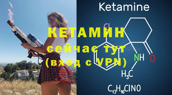 ПСИЛОЦИБИНОВЫЕ ГРИБЫ Заводоуковск