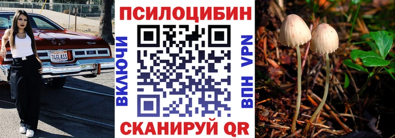 Галлюциногенные грибы мухоморы  Купить закладки  Рузаевка 